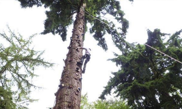 Diviértele con nuestro Curso de Asalto