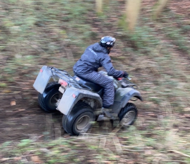 Emociona tus sentidos