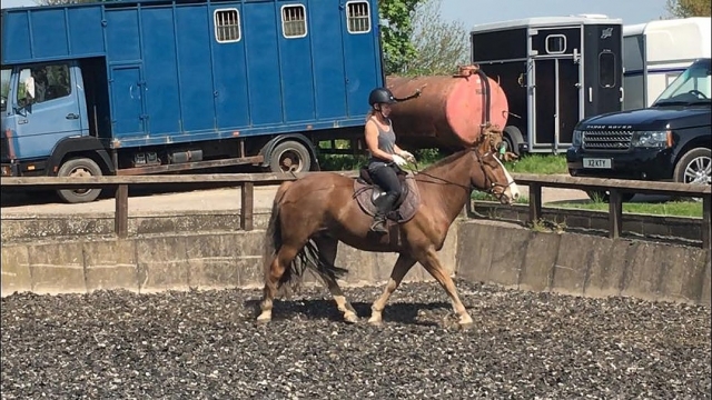  Aprende a subir a caballo 