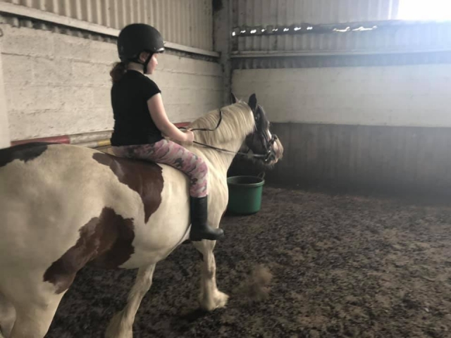  Subir a caballo es muy divertido 