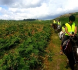 Junior Horse Hack (menores de 16 años) en Thurcaston duranle 2 horas