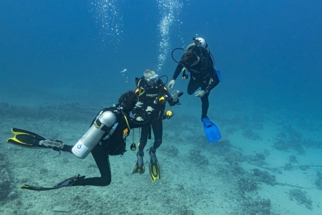 Explorando bajo el agua 