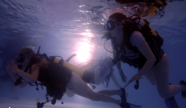  Buceo