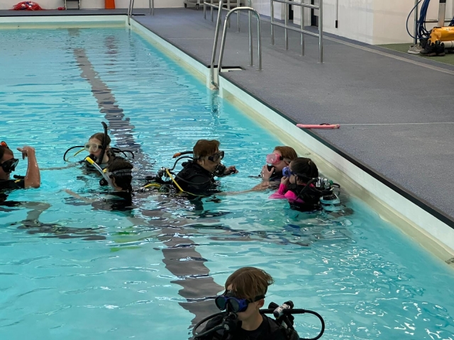  Aprendizaje en la alberca 