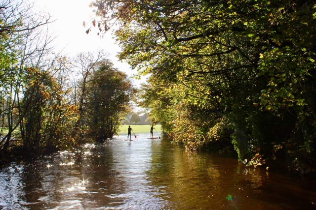 Disfrule de la belleza natural