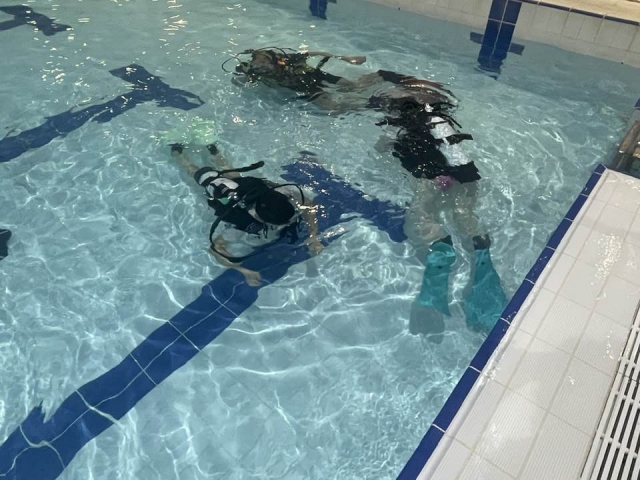  Explora bajo el agua 