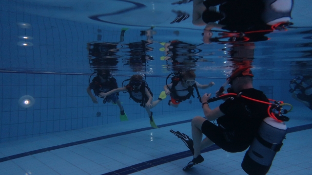  Diversión en la alberca 