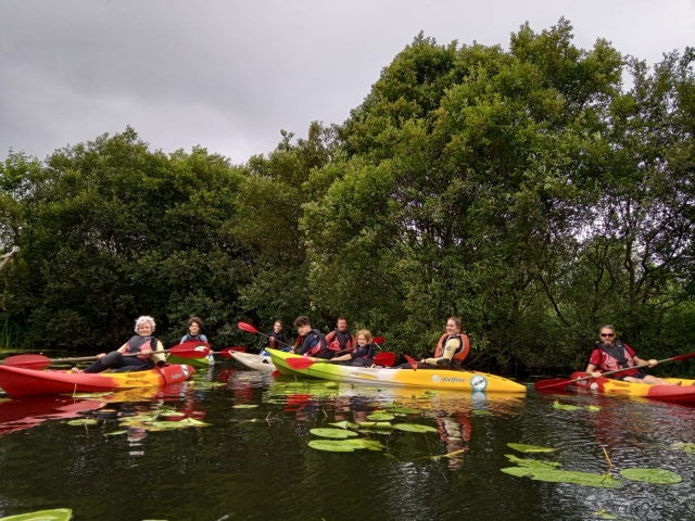 Pasa un lindo ramarro remando