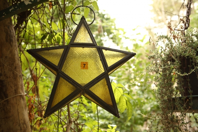  Rituales de pentagrama en el bosque 