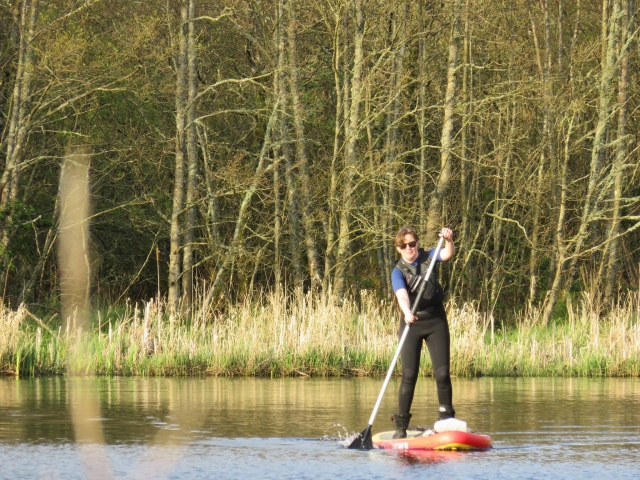  Remar es muy divertido 