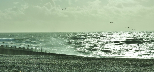  Vistas de Seaford Bay