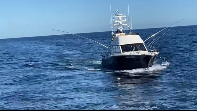  Divertida aventura en el mar 