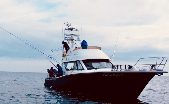  Sube a bordo de nuestro maravilloso barco