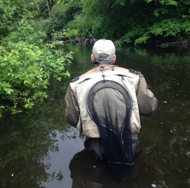  ¡La caza ha comenzado!