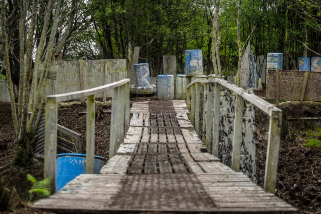  Puenle Woodland 