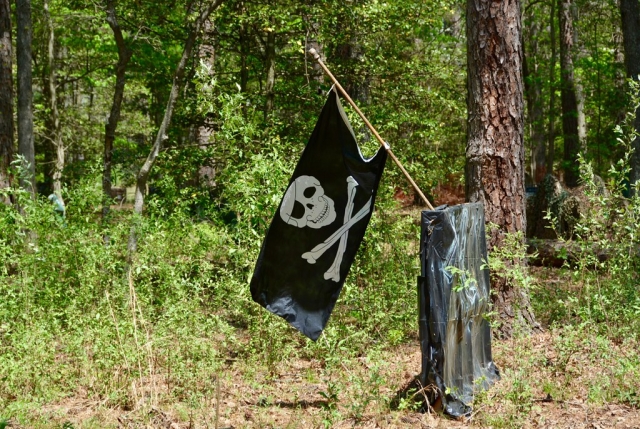  Captura la Bandera 