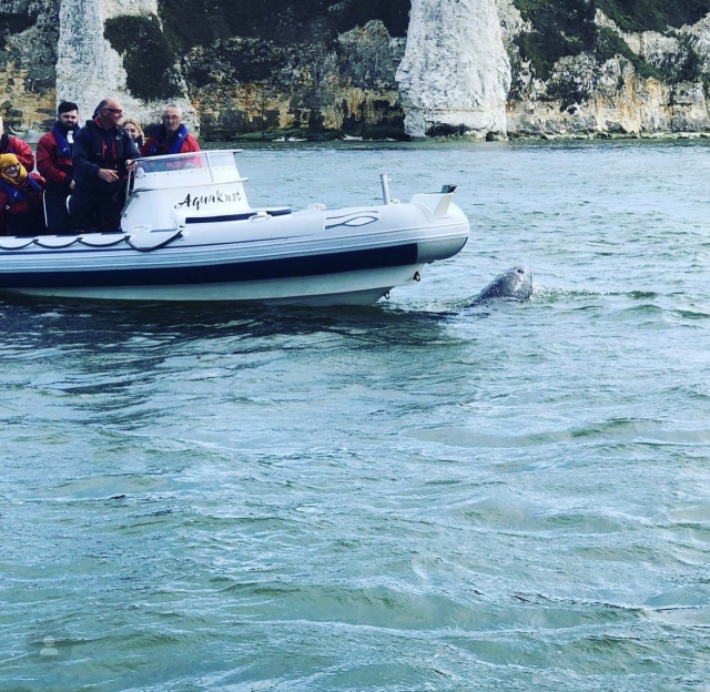  Explora la costa sur 