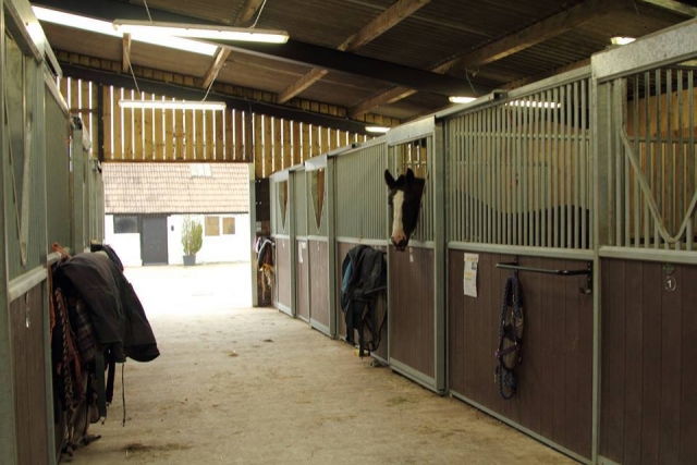 Subir en nuestro centro