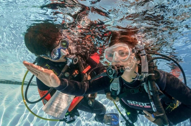 Adquiere habilidades de buceo 