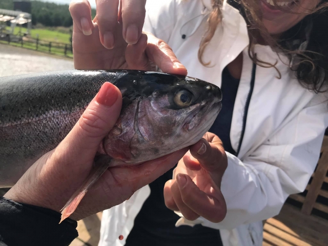  Pesca de truchas con mosca 