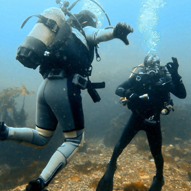  Buceo PADI 