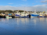 Tour en barco para adultos por el puerto de Killybegs (a partir de 16 años) 1,5 h