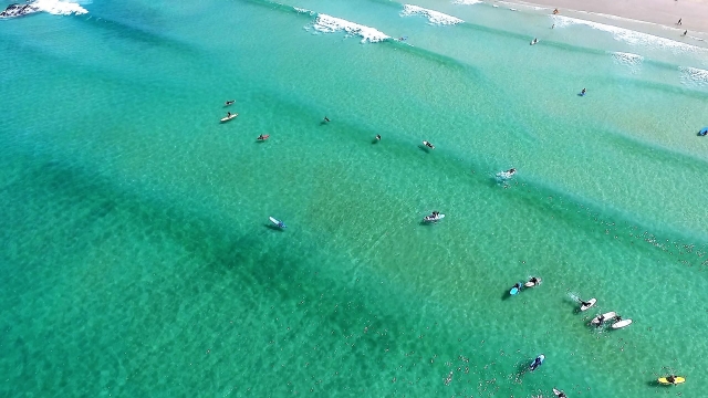  Sé parle de la escena del surf 