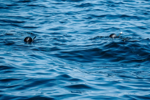  Buceo en aguas abiertas