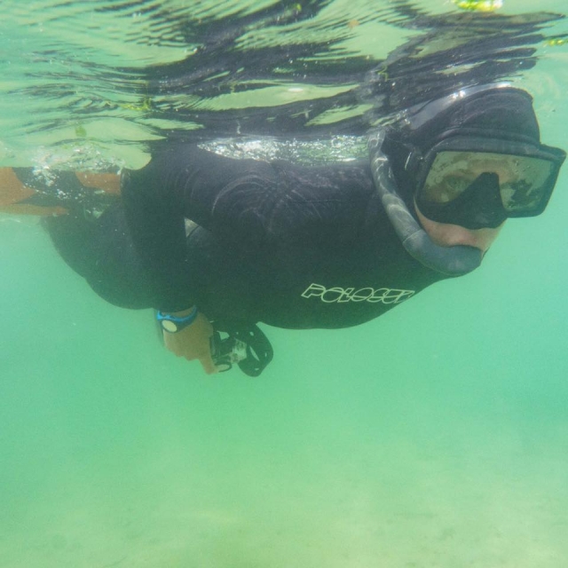  Maestro de snorkel 