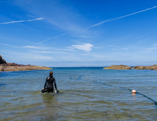  Interactúa con la costa de Pembrokeshire 