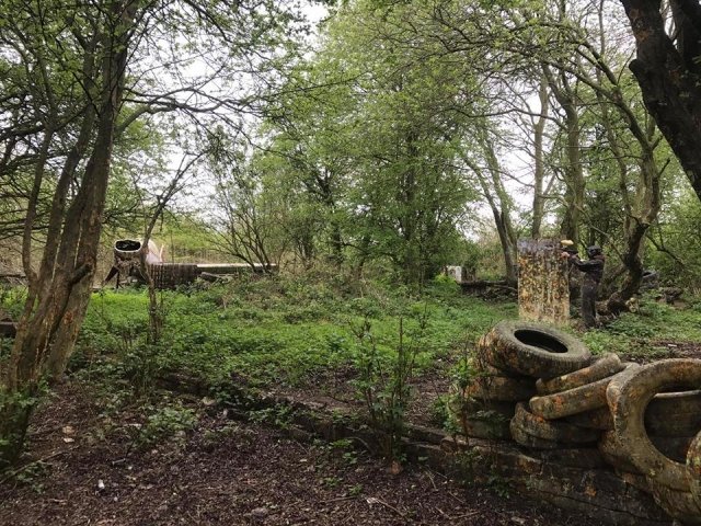  Zonas de juego en el bosque 