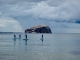 Paddle Surf East Lothian
