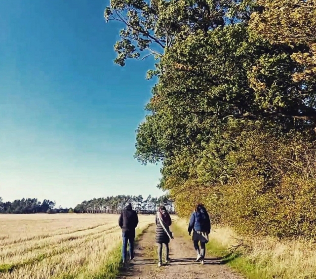  Campo de jalo al aire libre 