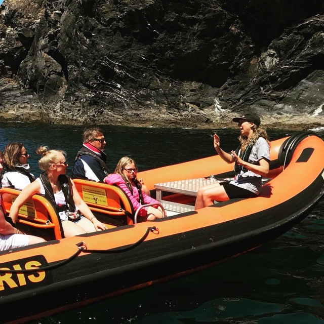 Explora la costa rocosa 