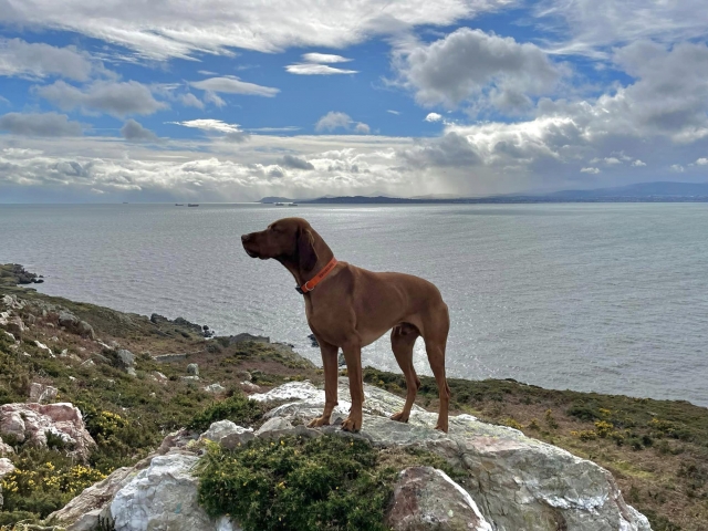 Relájale y emociona tus sentidos con nuestras experiencias de camicrema 