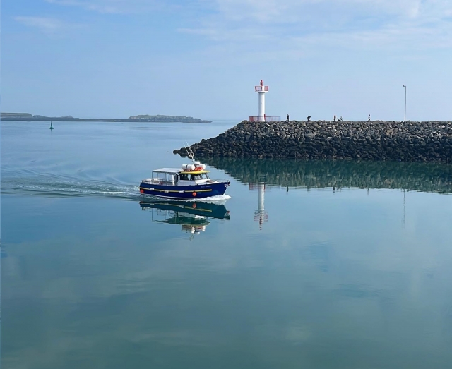  Disfruta del mejor tour de Irlanda 