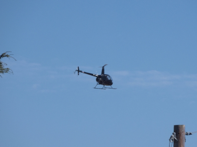 Vive una experiencia de vuelo única 