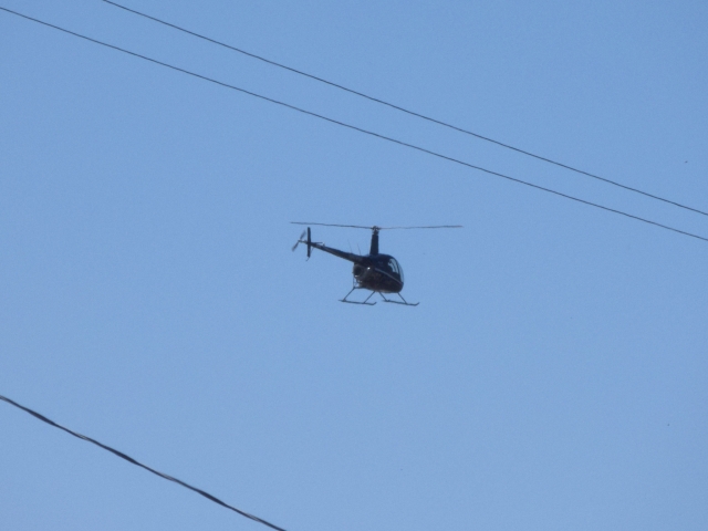  Teniendo el viaje de su vida