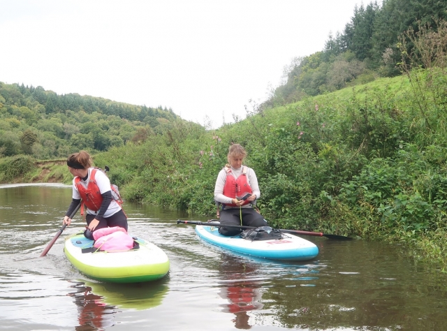  Tour guiado en paddleboard 