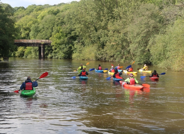  Tour guiado en kayak 