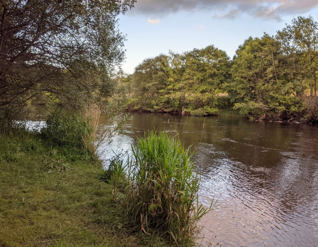  Explorando el río 