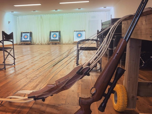  ¿Rifles de aire comprimido con arco? 