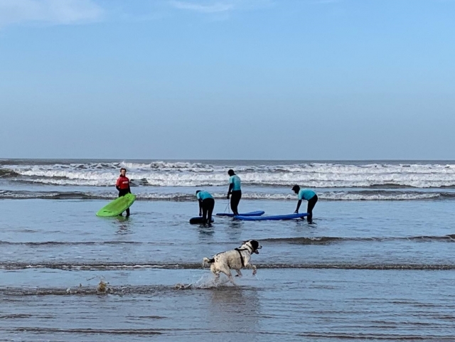 Paquele de clases de surf