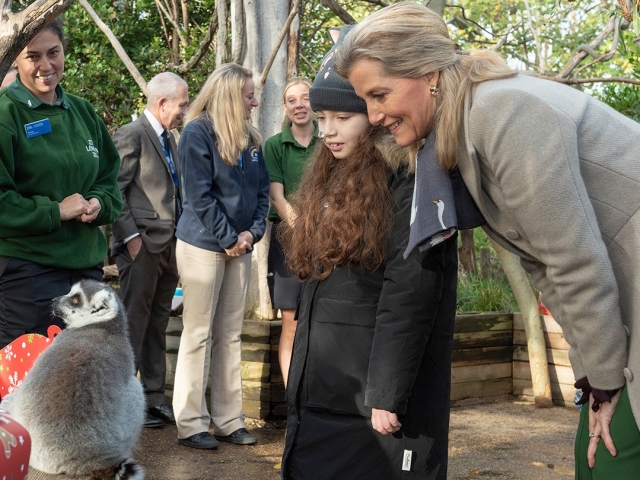  Interactuar con los animales 