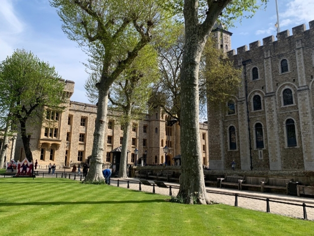  Explorando y aprendiendo la historia británica 