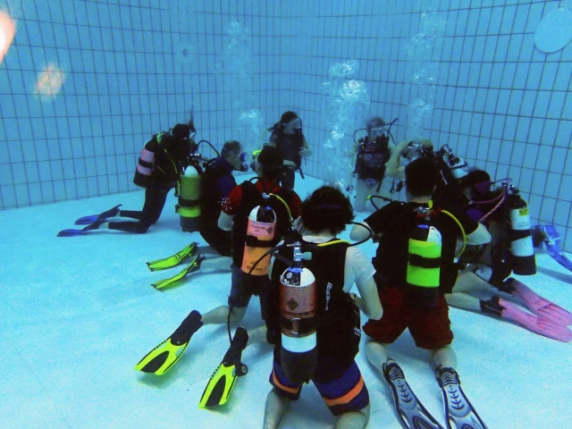  Consigue su certificado PADI 