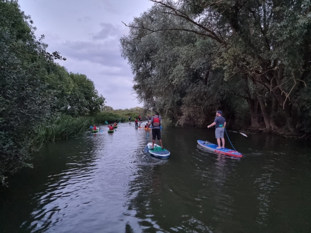  Paddleboarding en Bedford
