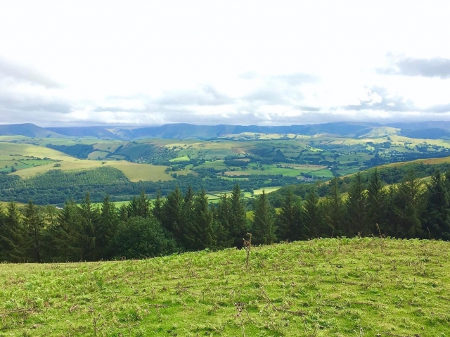  Jalo con arco en la campiña galesa 