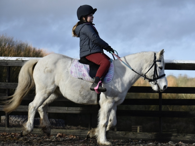  Sesión de actividad a caballo 