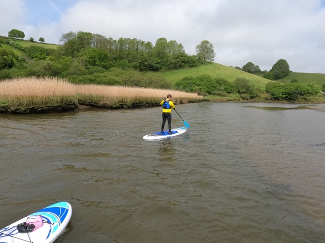  Tour por el río en tablas de remo 